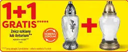 Polomarket Znicz szklany lub Anturium oferta