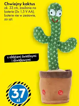 Tedi Chwiejny kaktus oferta