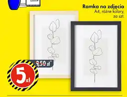 Tedi Ramka na zdjęcia oferta