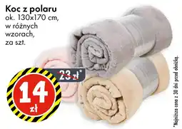 Tedi Koc z polaru oferta