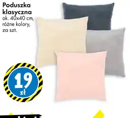 Tedi Poduszka klasyczna oferta