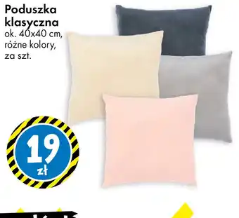 Tedi Poduszka klasyczna oferta