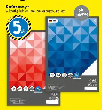 Tedi Kołozeszyt oferta