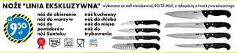 Tedi NOŻE LINIA EKSKLUZYWNA oferta