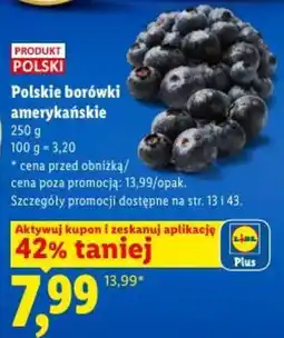 Lidl Polskie borówki amerykańskie oferta
