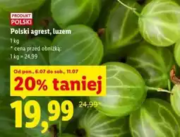 Lidl Polski agrest, luzem oferta