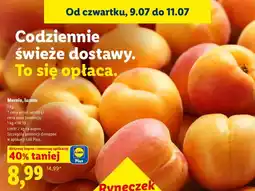Lidl Morele, luzem oferta