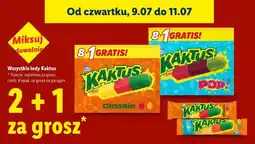 Lidl Kaktus Classic oferta