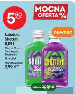 Żabka Likier Lubelska Shottini Cactus Crush oferta
