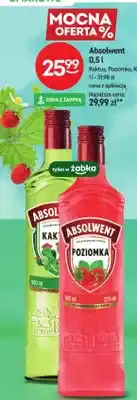 Żabka Wódka smakowa Absolwent Kaktus oferta