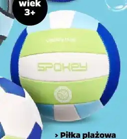 Netto Piłka plażowa siatkowa Spokey oferta