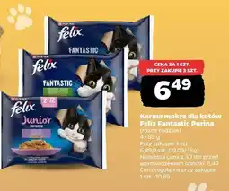 Netto Karma mokra dla kotów Felix Fantastic Purina 4-pak oferta
