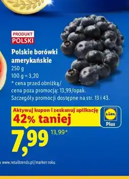 Lidl Borówki amerykańskie polskie oferta