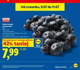 Lidl Borówki amerykańskie polskie oferta