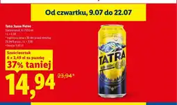 Lidl Piwo Tatra Jasne Pełne 6-pak oferta