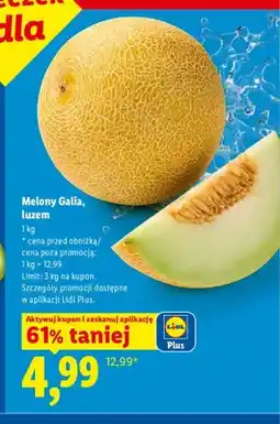 Lidl Melon Galia luzem oferta