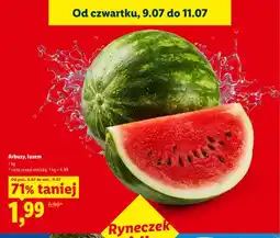 Lidl Arbuz luzem oferta