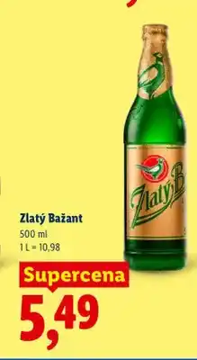 Lidl Piwo Zlatý Bažant oferta