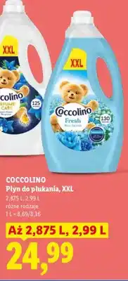 Lidl Płyn do płukania Coccolino Fresh Blue Splash XXL oferta