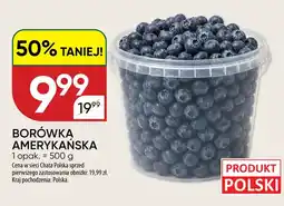 Chata Polska Borówka amerykańska polska oferta