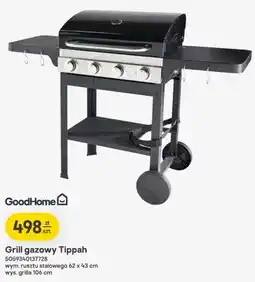 Castorama Grill gazowy GoodHome Tippah oferta