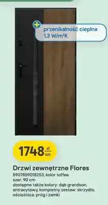 Castorama Drzwi zewnętrzne Flores oferta