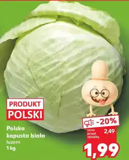 Kaufland Polska kapusta biała luzem oferta