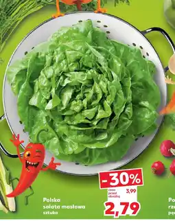 Kaufland Polska sałata masłowa oferta