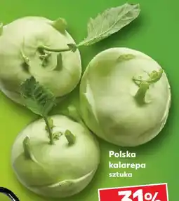 Kaufland Polska kalarepa sztuka oferta