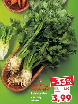 Kaufland Polski seler oferta