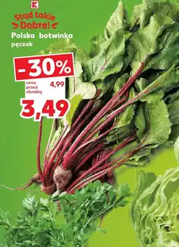 Kaufland Polska botwinka pęczek oferta