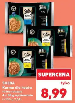 Kaufland Karma dla kotów oferta