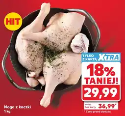 Kaufland Noga z kaczki oferta