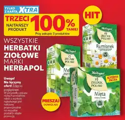 Kaufland Herbatki ziołowe marki Herbapol oferta