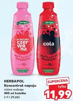 Kaufland Herbapol Koncentrat napoju oferta