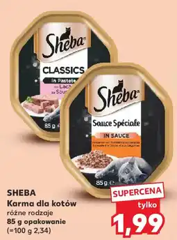 Kaufland Karma dla kotów oferta
