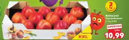 Kaufland Nektarynki oferta
