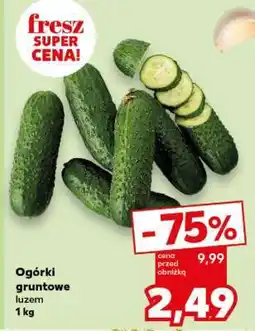 Kaufland Ogórki gruntowe luzem 1 kg oferta