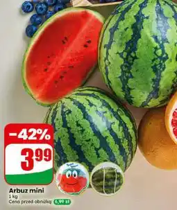Dino Arbuz mini oferta