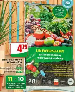 Dino Ziemia kwiatowa uniwersalna oferta