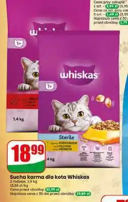 Dino Sucha karma dla kota WHISKAS oferta