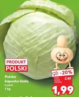 Kaufland Polska kapusta biała luzem 1 kg oferta