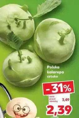 Kaufland Polska kalarepa oferta