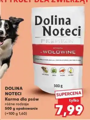 Kaufland Dolina Noteci oferta