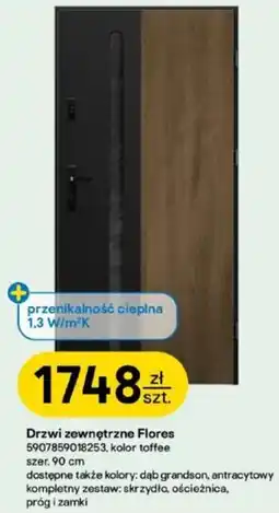 Castorama Drzwi zewnętrzne Flores oferta