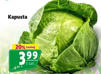 Prim Market Kapusta oferta
