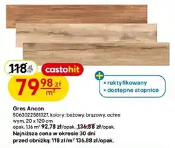 Castorama Gres Ancon oferta