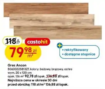 Castorama Gres Ancon oferta