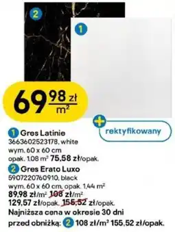Castorama Gres Latinie oferta