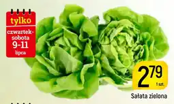 Delikatesy Piotruś Pan Sałatata zielona oferta